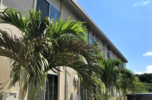 とにかくリーズナブル♪